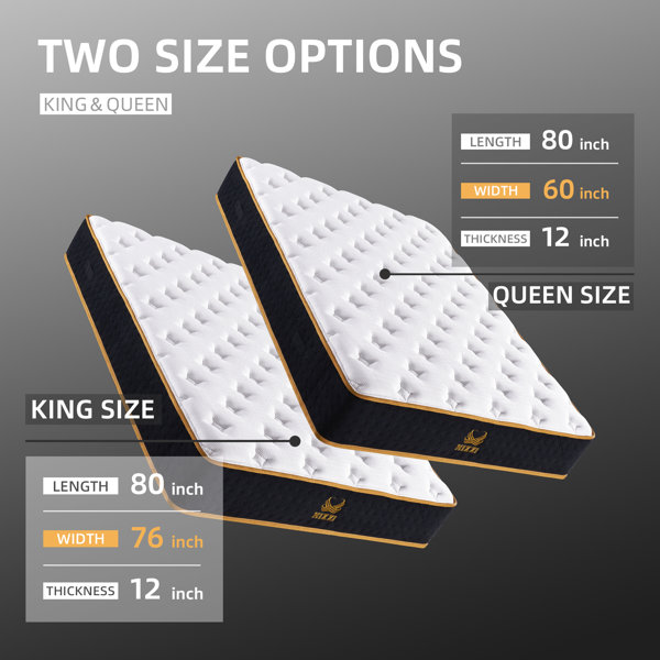 Alwyn Home Honolulu 12'' Medium Mattress Wayfair